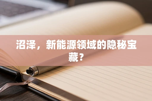 沼泽，新能源领域的隐秘宝藏？