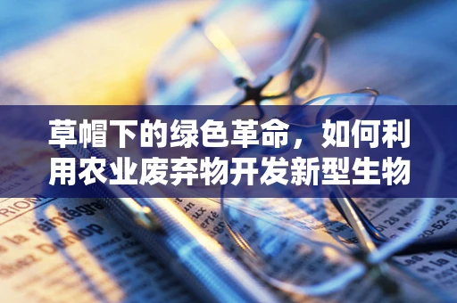 草帽下的绿色革命，如何利用农业废弃物开发新型生物质能源？