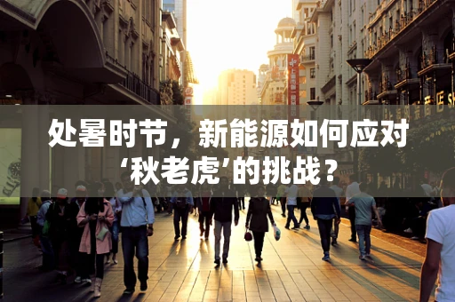 处暑时节，新能源如何应对‘秋老虎’的挑战？