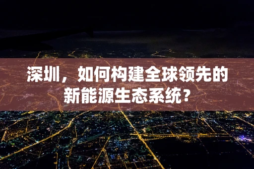 深圳，如何构建全球领先的新能源生态系统？