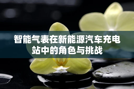 智能气表在新能源汽车充电站中的角色与挑战