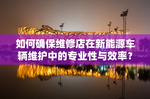 如何确保维修店在新能源车辆维护中的专业性与效率？