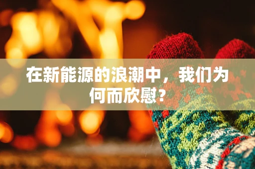 在新能源的浪潮中，我们为何而欣慰？