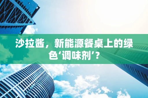 沙拉酱，新能源餐桌上的绿色‘调味剂’？