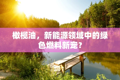 橄榄油，新能源领域中的绿色燃料新宠？