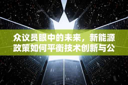 众议员眼中的未来，新能源政策如何平衡技术创新与公众接受度？
