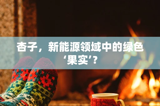 杏子，新能源领域中的绿色‘果实’？