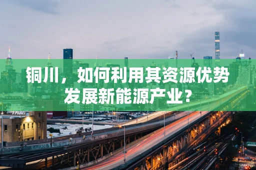 铜川，如何利用其资源优势发展新能源产业？