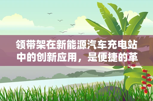 领带架在新能源汽车充电站中的创新应用，是便捷的革新，还是多余的装饰？