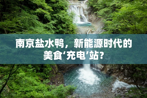 南京盐水鸭，新能源时代的美食‘充电’站？
