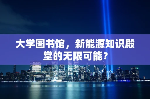 大学图书馆，新能源知识殿堂的无限可能？