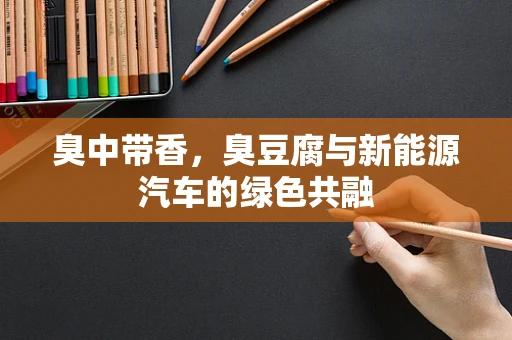 臭中带香，臭豆腐与新能源汽车的绿色共融