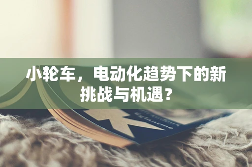 小轮车，电动化趋势下的新挑战与机遇？