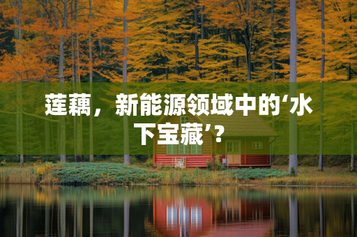 莲藕，新能源领域中的‘水下宝藏’？