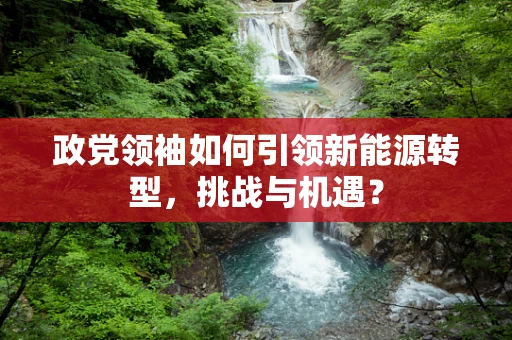 政党领袖如何引领新能源转型，挑战与机遇？