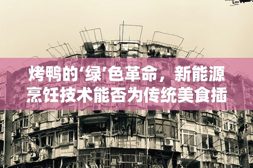 烤鸭的‘绿’色革命，新能源烹饪技术能否为传统美食插上绿色翅膀？