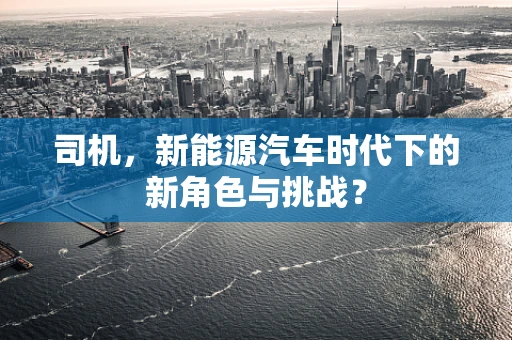 司机，新能源汽车时代下的新角色与挑战？