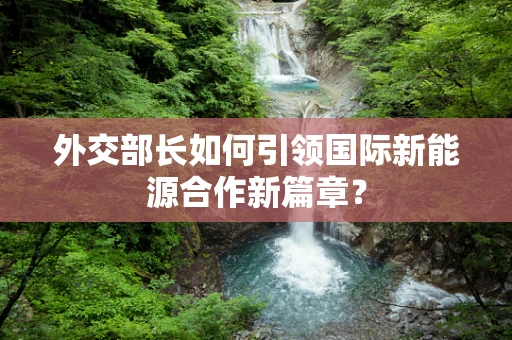 外交部长如何引领国际新能源合作新篇章？