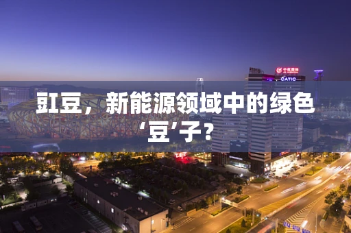 豇豆，新能源领域中的绿色‘豆’子？