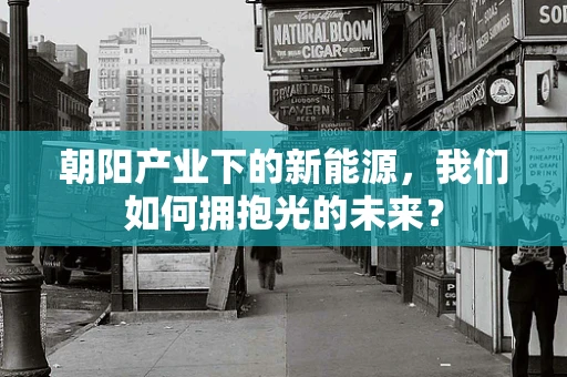 朝阳产业下的新能源，我们如何拥抱光的未来？