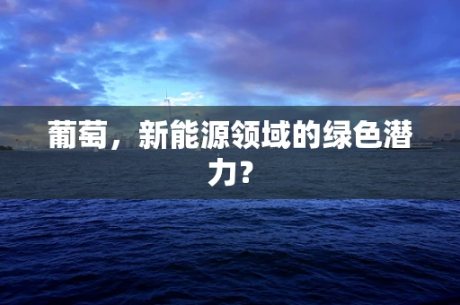 葡萄，新能源领域的绿色潜力？