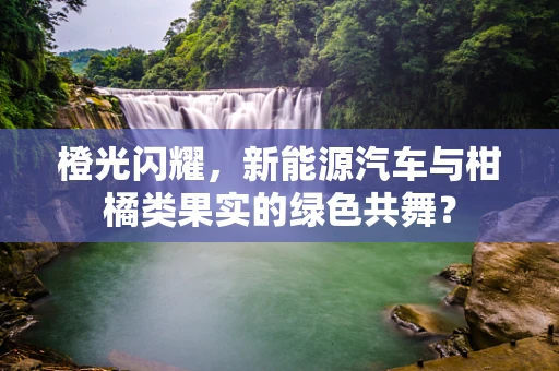 橙光闪耀，新能源汽车与柑橘类果实的绿色共舞？