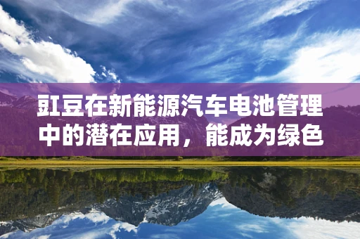 豇豆在新能源汽车电池管理中的潜在应用，能成为绿色能源的新宠吗？