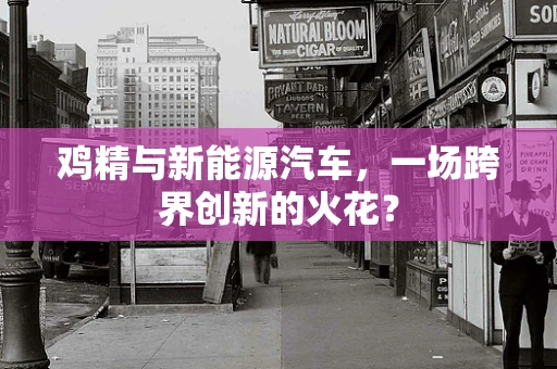 鸡精与新能源汽车，一场跨界创新的火花？