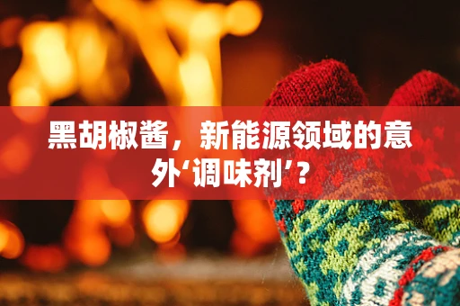 黑胡椒酱，新能源领域的意外‘调味剂’？