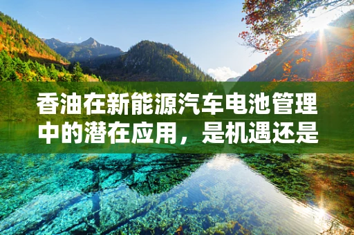 香油在新能源汽车电池管理中的潜在应用，是机遇还是挑战？