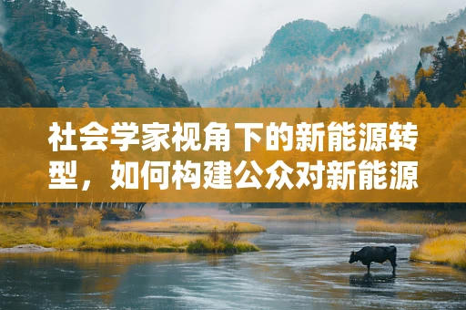 社会学家视角下的新能源转型，如何构建公众对新能源的认同与参与？