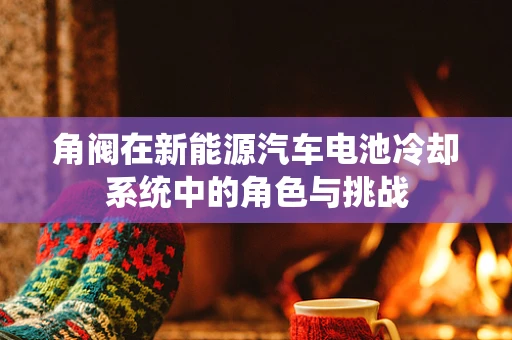 角阀在新能源汽车电池冷却系统中的角色与挑战