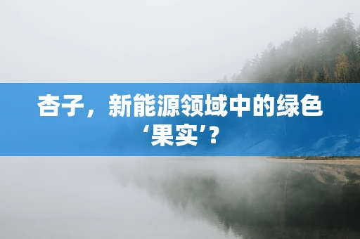 杏子，新能源领域中的绿色‘果实’？