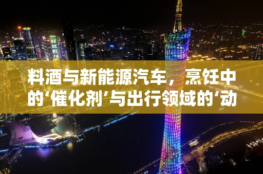 料酒与新能源汽车，烹饪中的‘催化剂’与出行领域的‘动力源’
