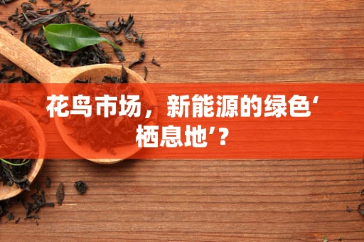 花鸟市场，新能源的绿色‘栖息地’？