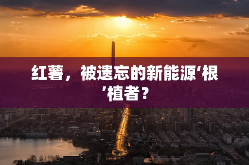 红薯，被遗忘的新能源‘根’植者？