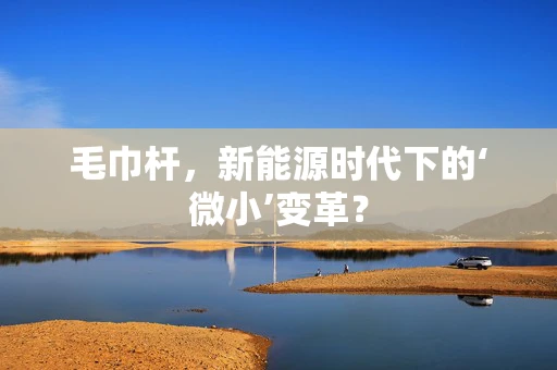 毛巾杆，新能源时代下的‘微小’变革？