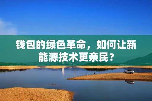 钱包的绿色革命，如何让新能源技术更亲民？