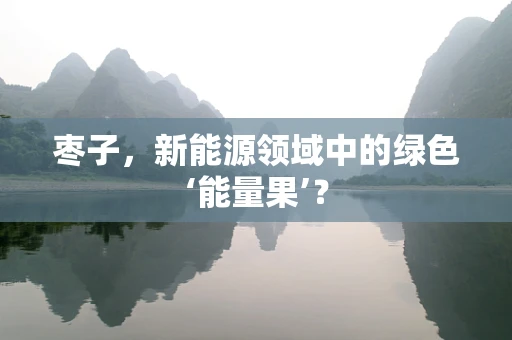 枣子，新能源领域中的绿色‘能量果’？