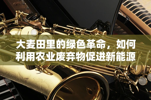 大麦田里的绿色革命，如何利用农业废弃物促进新能源发展？