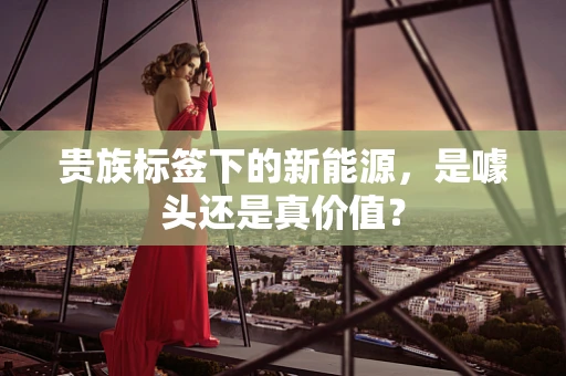 贵族标签下的新能源，是噱头还是真价值？