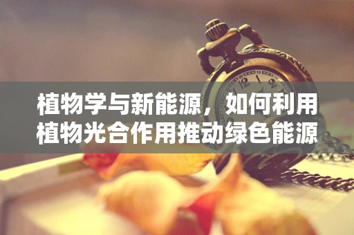 植物学与新能源，如何利用植物光合作用推动绿色能源革命？